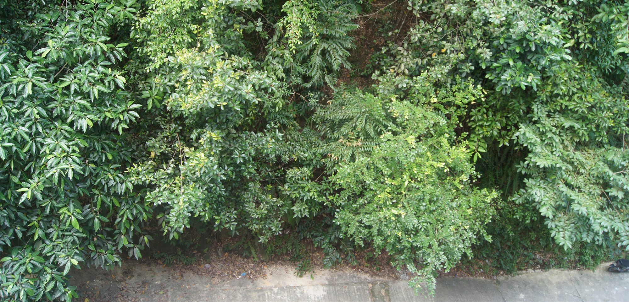 Hotel Hsiang Garden SDK Exterior foto